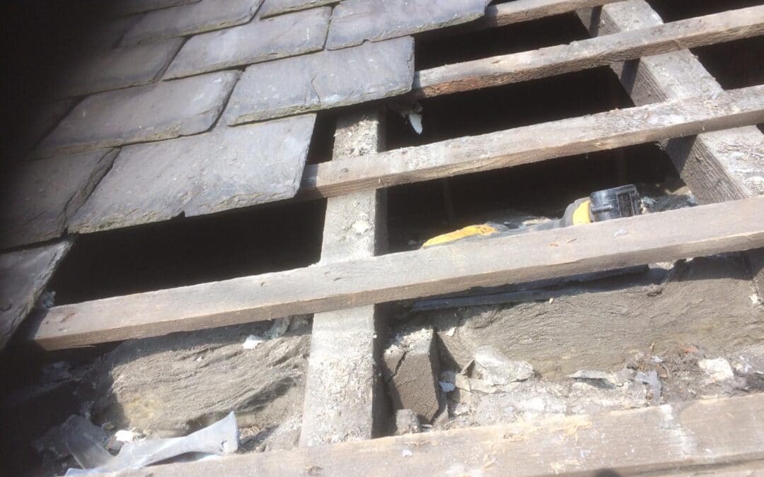 Roofing Repairs by Bridgewater Developments
