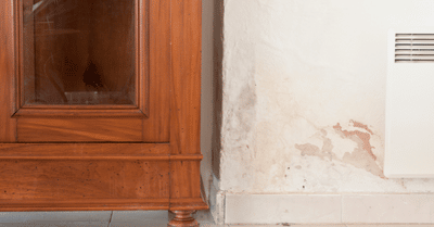 Do you know the signs of rising damp